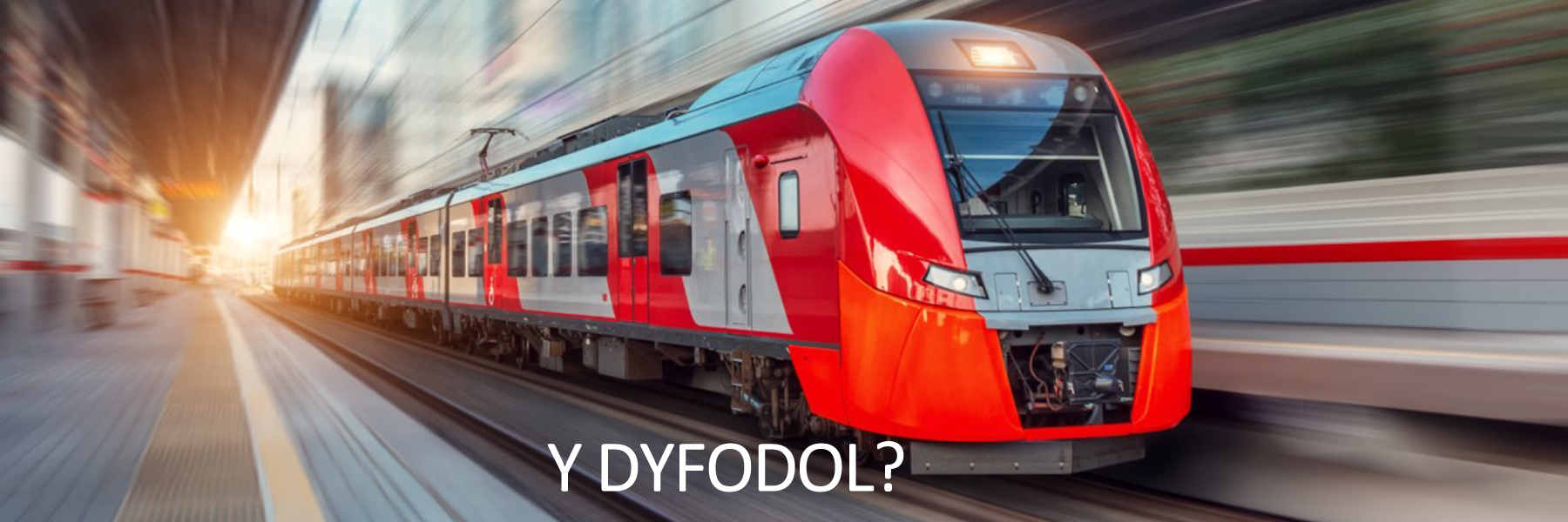 Y dyfodol